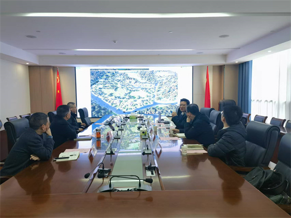 12月12日，洪董會浙江藏元匯控股公司研究集團文旅業(yè)態(tài)項目.jpg