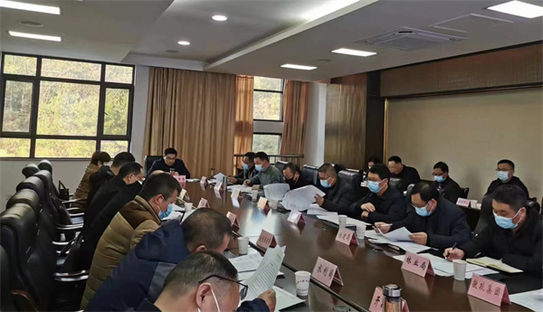 12月14日，王奇勇縣長主持召開望豐項目工作專班推進會.jpg