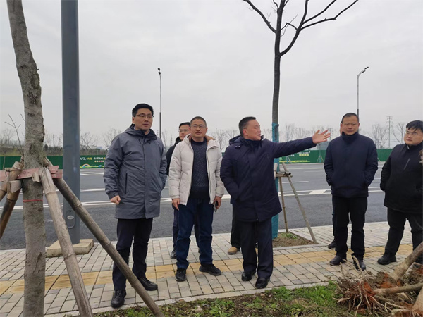 2月14日，洪董陪同王奇勇縣長一行督導衛(wèi)拍地塊.jpg